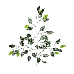 Fleur Art série A (104)