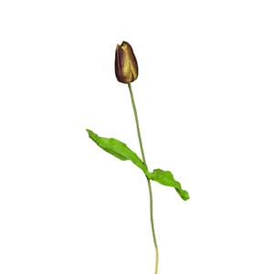 Fleur Art serie A (105)
