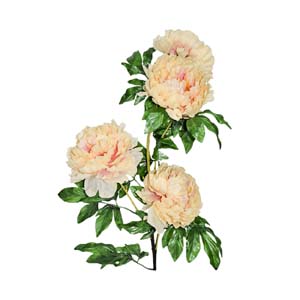 Fleur Art serie A (106)