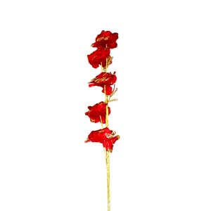 Fleur Art serie A (109)