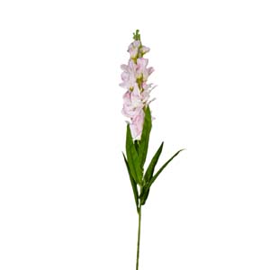 Fleur Art serie A (117)