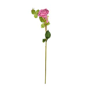 Fleur Art serie A (12)