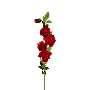 Fleur Art serie A (120)