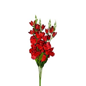 Fleur Art serie A (121)