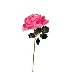Fleur Art serie A (122)