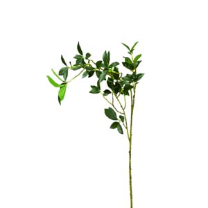 Fleur Art serie A (129)
