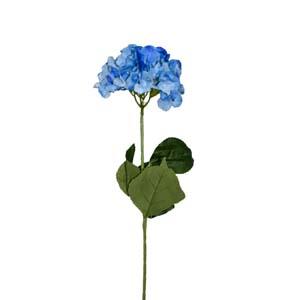 Fleur Art serie A (131)