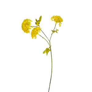 Fleur Art serie A (133)