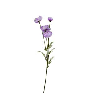 Fleur Art serie A (134)