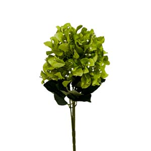 Fleur Art serie A (135)