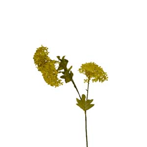 Fleur Art serie A (141)