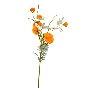 Fleur Art serie A (142)