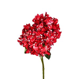 Fleur Art serie A (143)