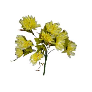 Fleur Art serie A (151)