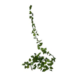 Fleur Art serie A (157)