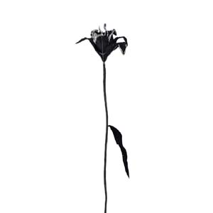 Fleur Art serie A (162)