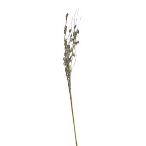 Fleur Art serie A (169)