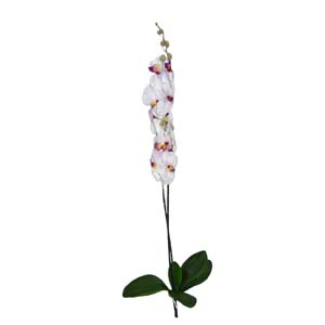 Fleur Art serie A (173)