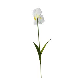 Fleur Art serie A (175)