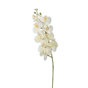 Fleur Art serie A (178)