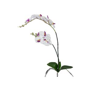 Fleur Art serie A (179)