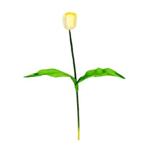 Fleur Art serie A (18)