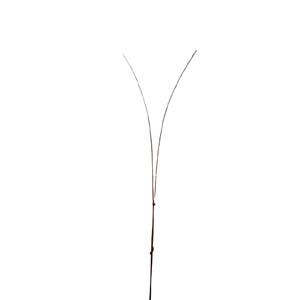 Fleur Art serie A (186)