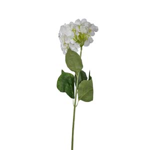 Fleur Art serie A (191)