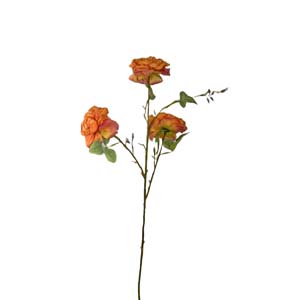 Fleur Art serie A (203)