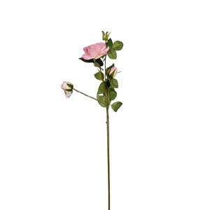 Fleur Art serie A (208)