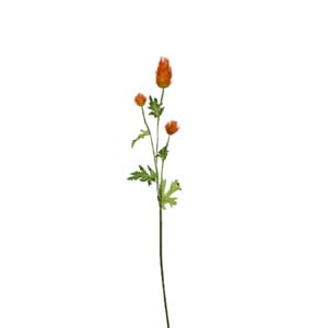 Fleur Art serie A (209)