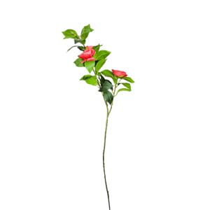 Fleur Art serie A (210)