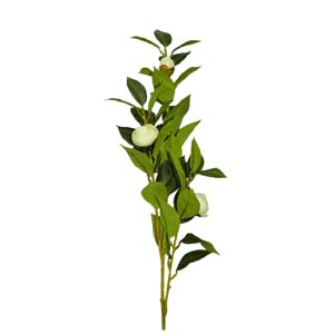 Fleur Art serie A (22)