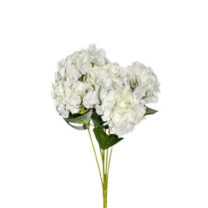 Fleur Art serie A (221)