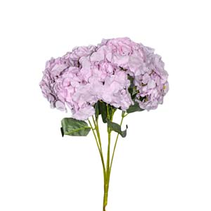 Fleur Art serie A (222)