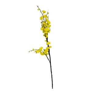 Fleur Art serie A (25)