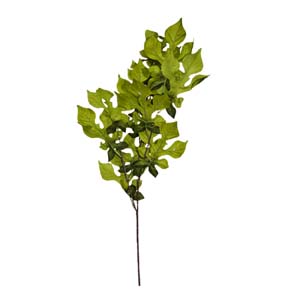 Fleur Art serie A (26)