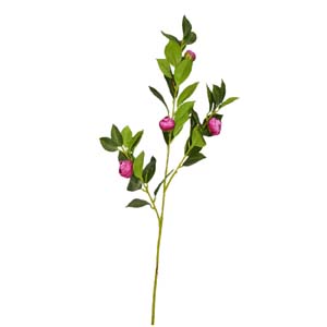 Fleur Art serie A (31)
