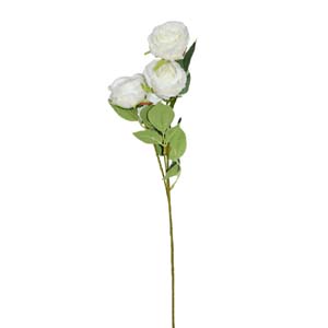 Fleur Art serie A (33)