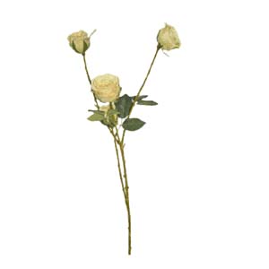 Fleur Art serie A (43)