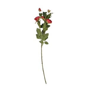 Fleur Art serie A (44)