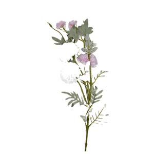 Fleur Art serie A (45)