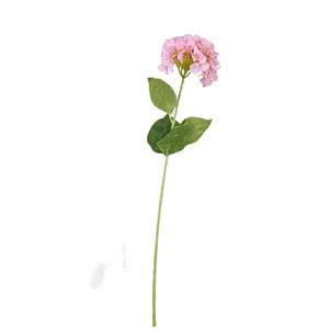 Fleur Art serie A (47)