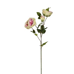 Fleur Art serie A (5)