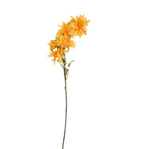 Fleur Art serie A (50)