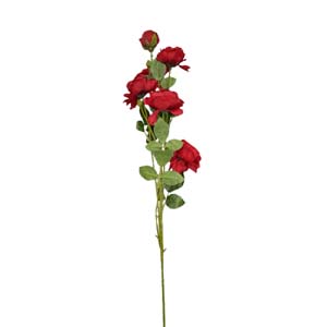Fleur Art serie A (56)