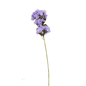 Fleur Art serie A (57)