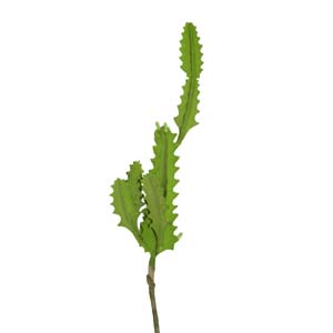 Fleur Art serie A (60)