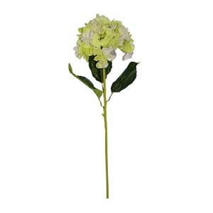 Fleur Art serie A (62)