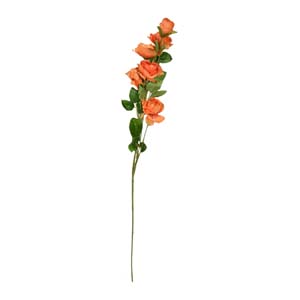 Fleur Art serie A (63)